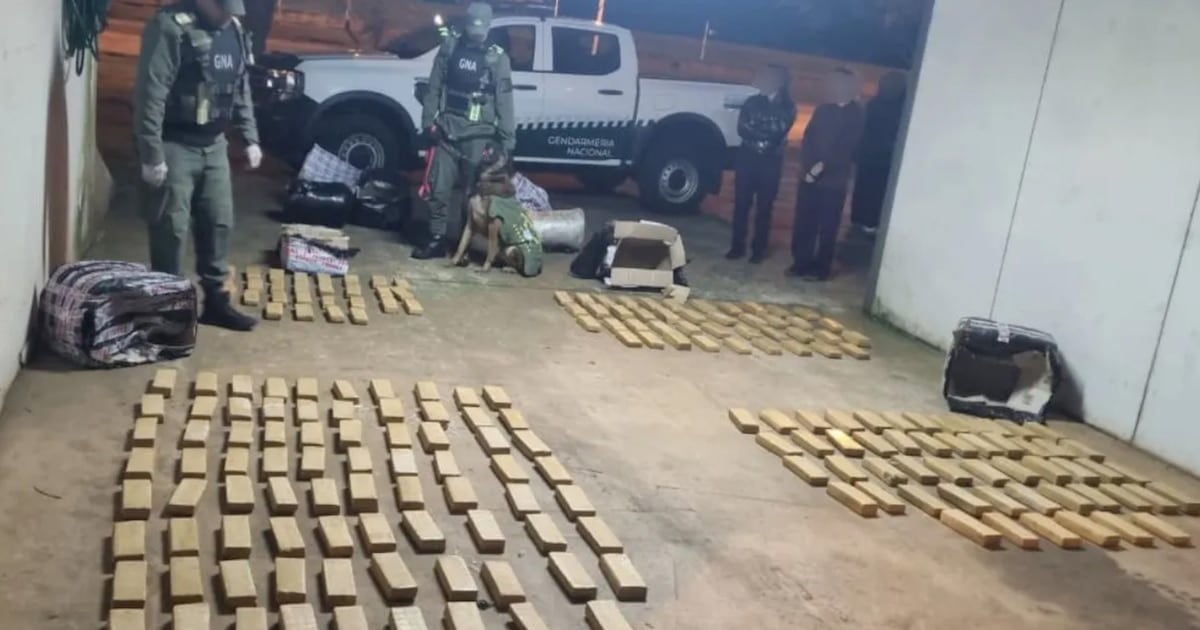 Secuestran más de 142 kilos de marihuana ocultos en un colectivo que viajaba desde Puerto Iguazú hacia Buenos Aires