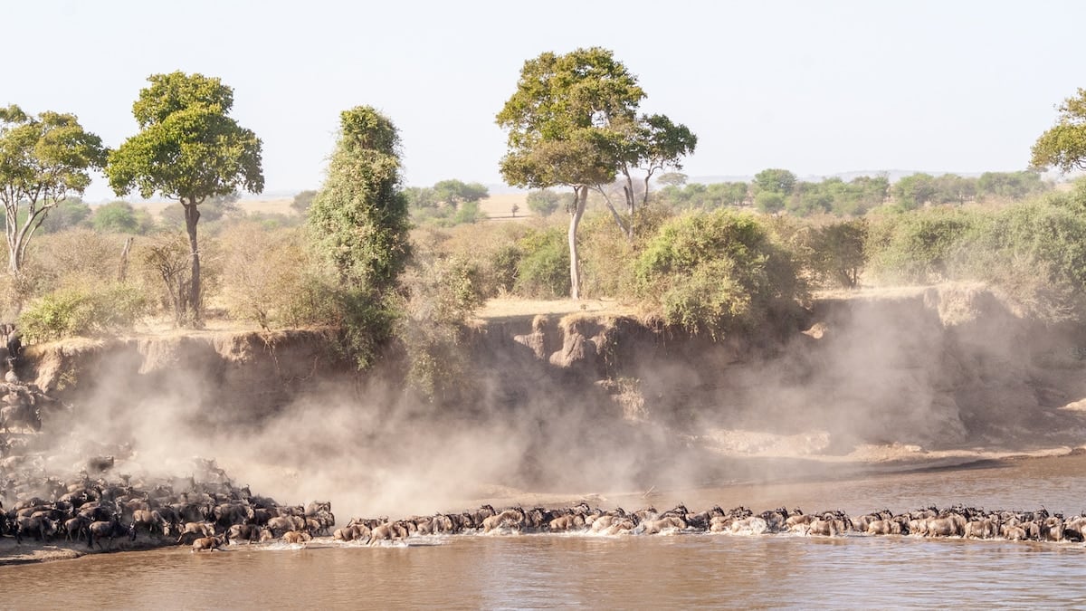 El norte de Tanzania, una coreografía de manadas, baobabs y volcanes que se recorre a paso lento