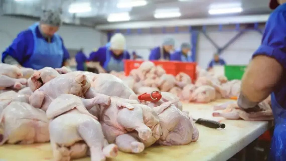 Por primera vez en la historia, el pollo le ganó la pulseada al asado: 47 kilos contra 46,7