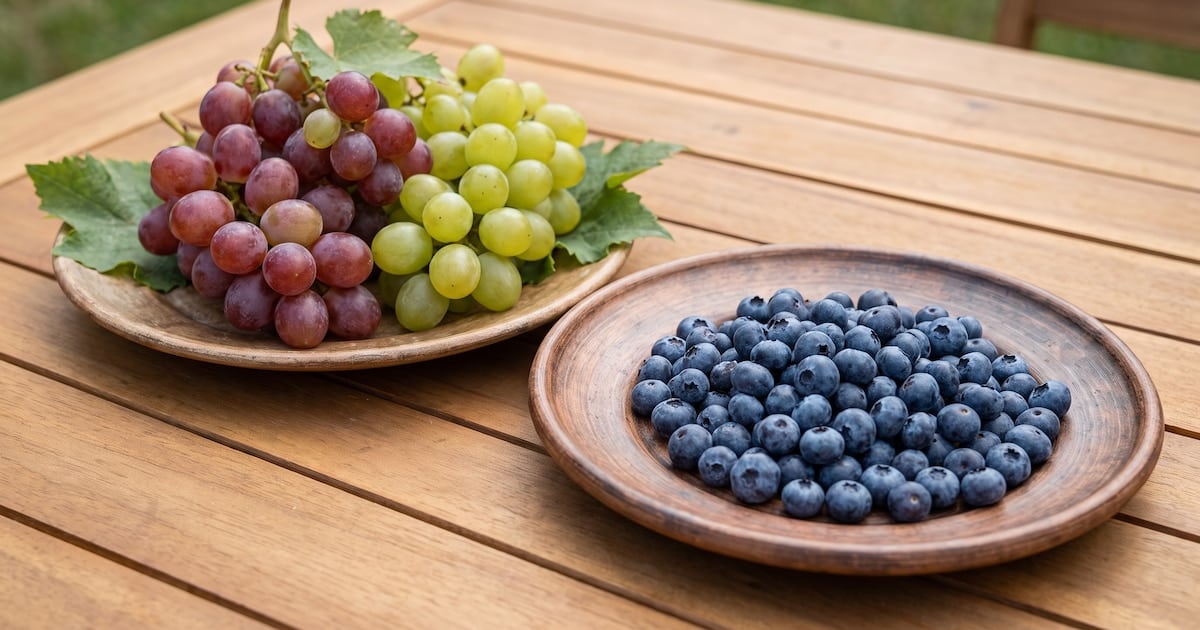 Arándanos o uvas a la hora de la merienda: por qué la fibra manda más que el dulzor
