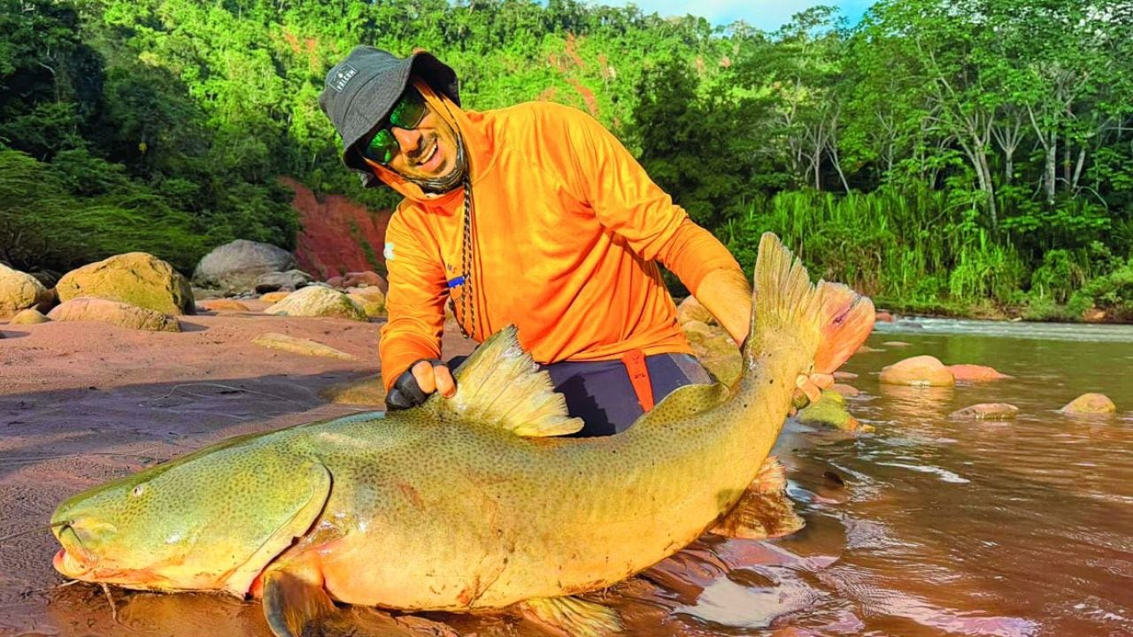 Tambaquí, pacú y manguruyú en un río de más de 350 kilómetros de la Amazonía boliviana
