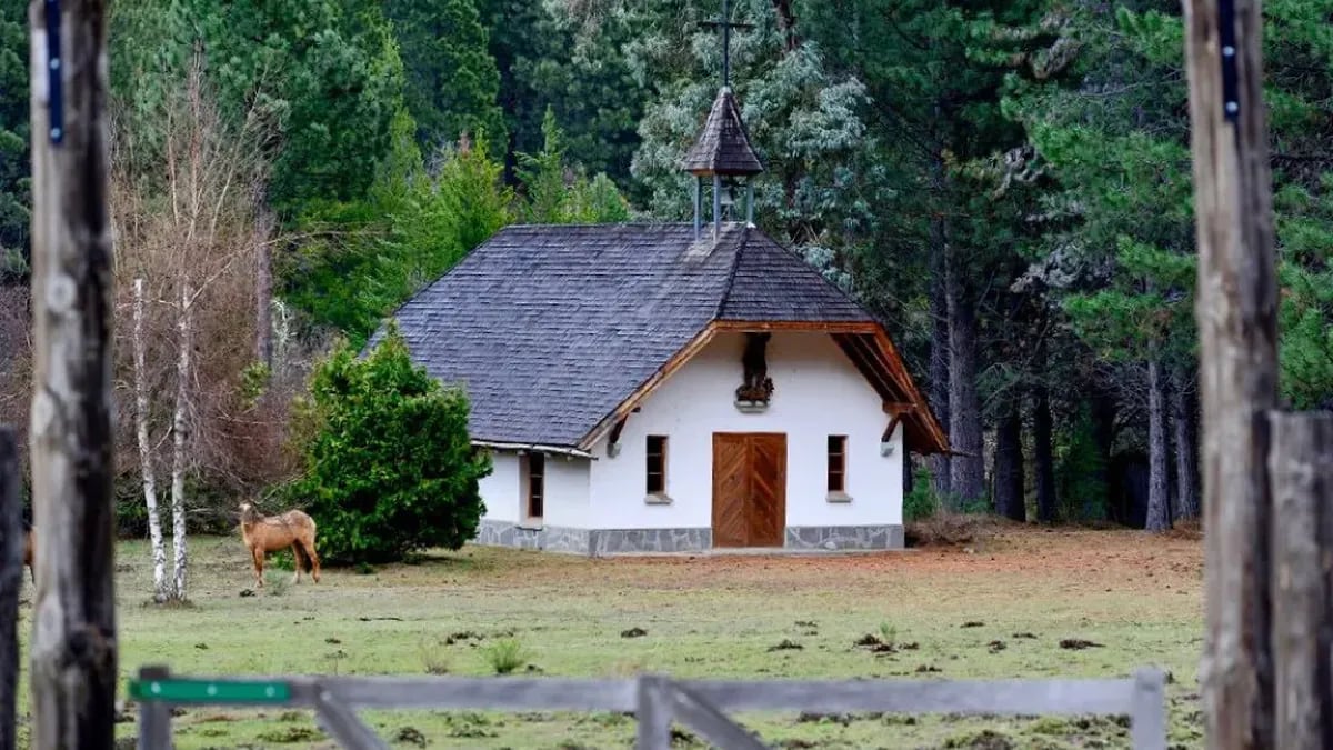 Un pedacito de los Alpes que sobrevive entre las lengas de Villa Lago Meliquina