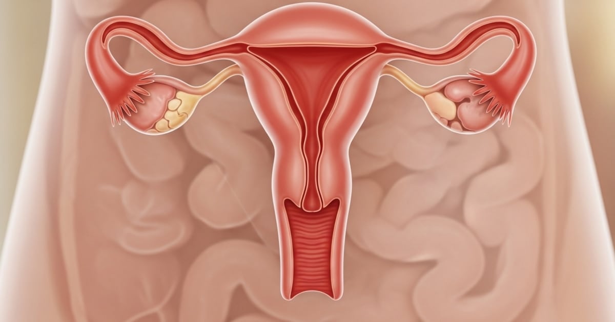 Lo que el ovario hace después de la menopausia: un hallazgo que cambia lo que creíamos saber