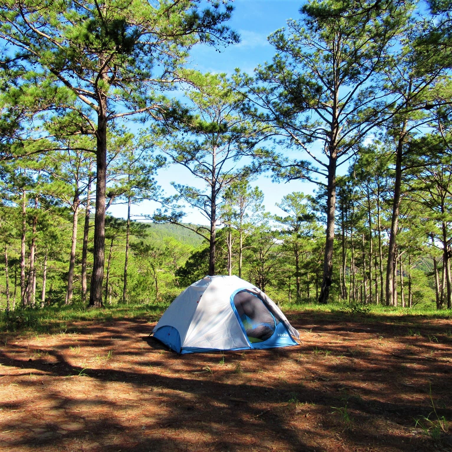 Un camping francés Opens sus puertas en el bosque de Mar Azul