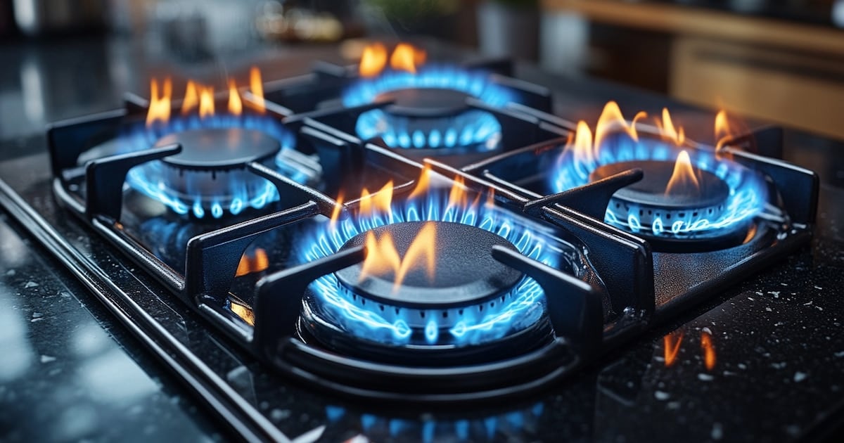 El Gobierno reduce el alcance del subsidio al gas y deja afuera a 3,35 millones de hogares