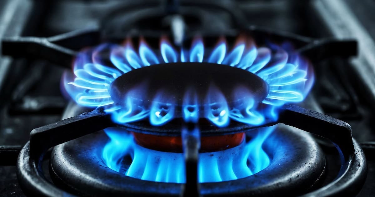 Gas en zonas frías: a quiénes alcanza la rebaja del 50% y qué pasa con los hogares excluidos
